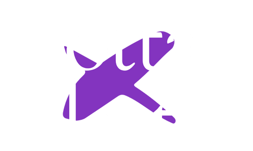 lottaxletti